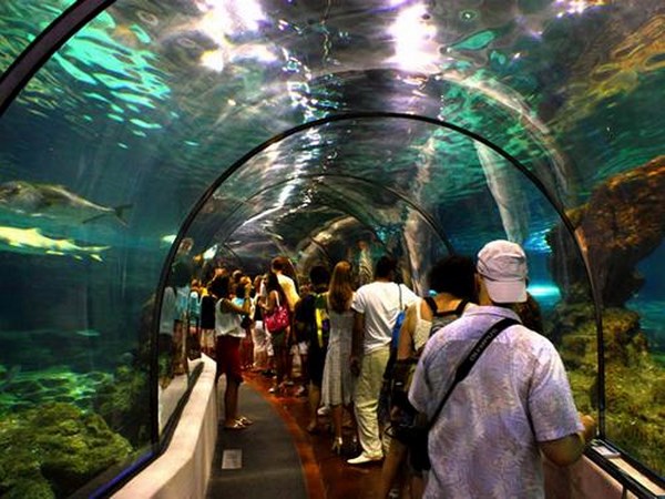 aquarium barcelona 4 qpr Copy